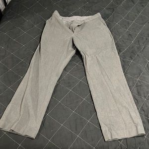 Express Dress Pant Tapered